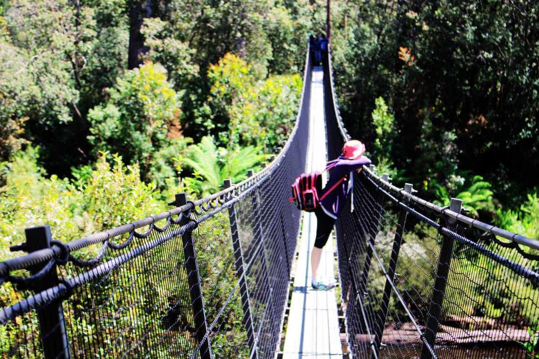 A girl looking contemplative, standing in the middle of a suspension bridge in Tasmania